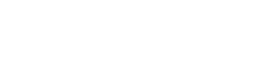 Virtual Ticket